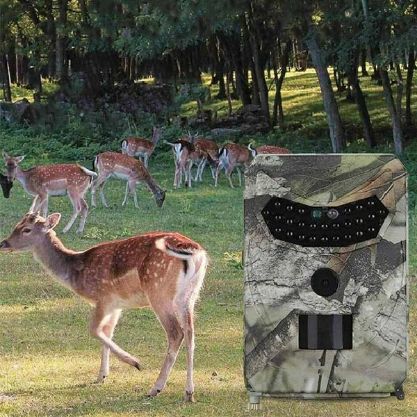 WILDEYE-GALLERY-IMG1-min