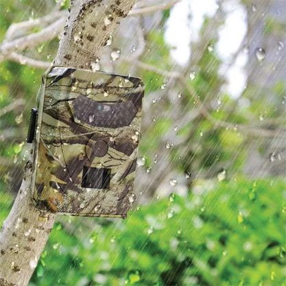 WILDEYE-GALLERY-IMG2-min