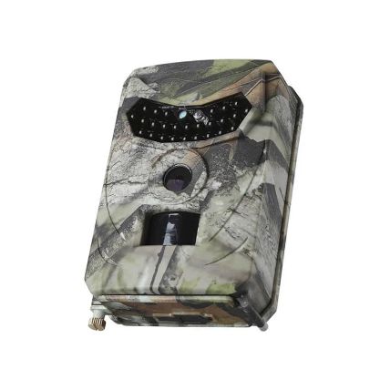 WILDEYE-GALLERY-IMG3-min