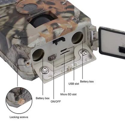 WILDEYE-GALLERY-IMG4-min