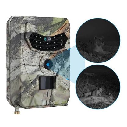 WILDEYE-GALLERY-IMG5-min