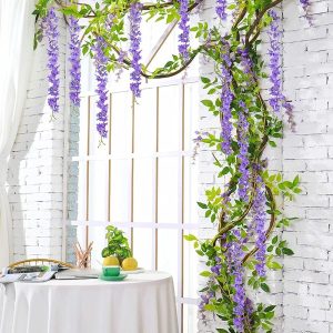Клонка Глициния Цветна лоза | WISBLOOM