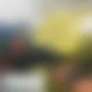 Ръчно управляван мини дрон FLASH