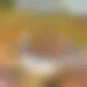 Преносима скара | GRILLSTER