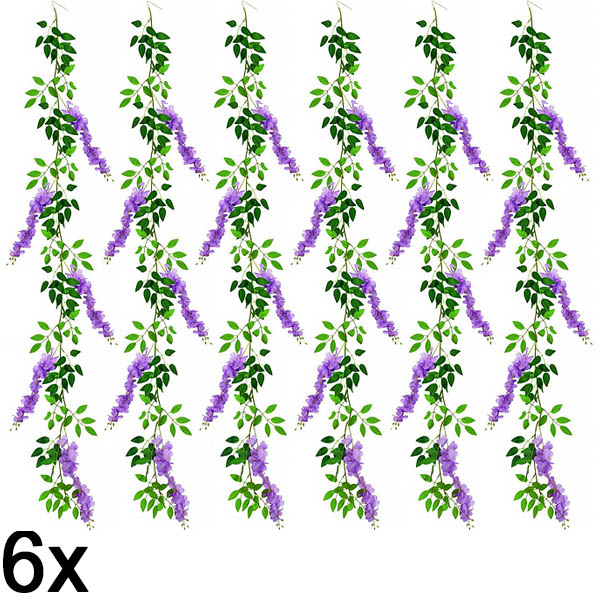 6x Клонка Глициния Цветна лоза | WISBLOOM