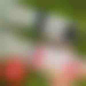 69-дупков LED пистолет за сапунени мехури | BUBBLEPUFF 1+1 БЕЗПЛАТНО