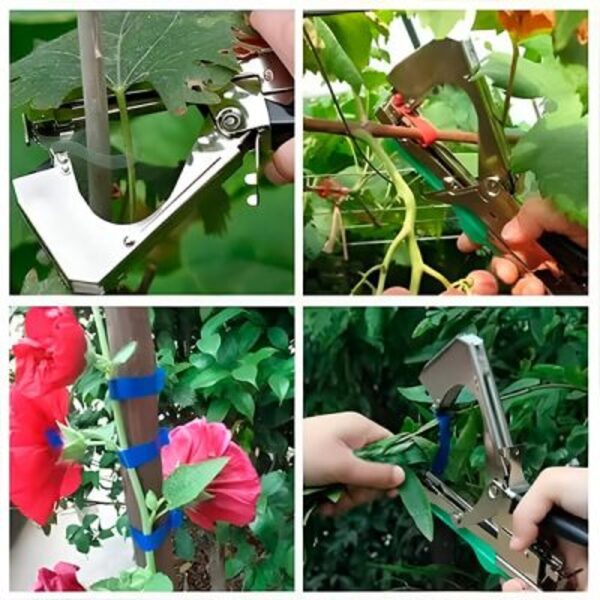 PLANTBRANDTAPE15959__280525